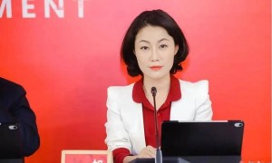 万科的最后一张王牌：千万年薪美女董秘