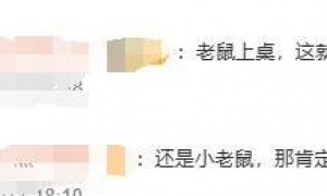 老鼠上桌吃自助？北京一火锅店上演惊人一幕