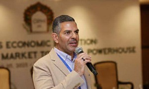 印度亿万富翁误吞蜜蜂身亡